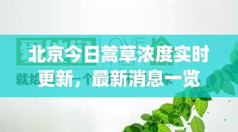 不堪造就 第2页
