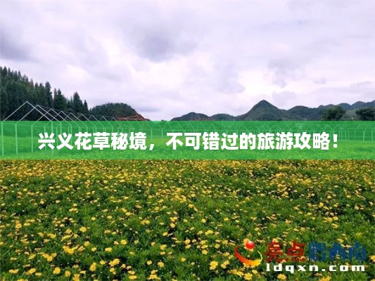 兴义花草秘境，不可错过的旅游攻略！