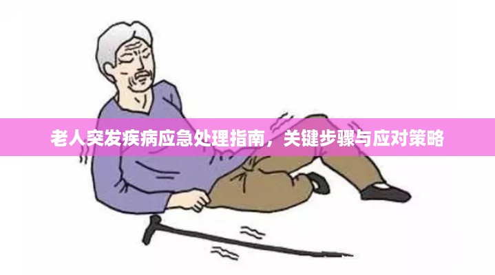 老人突发疾病应急处理指南，关键步骤与应对策略