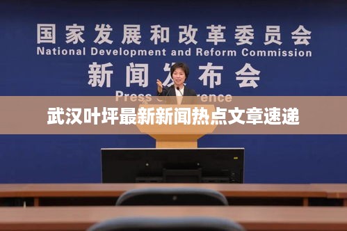 武汉叶坪最新新闻热点文章速递