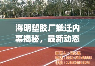 海明塑胶厂搬迁内幕揭秘，最新动态与进展