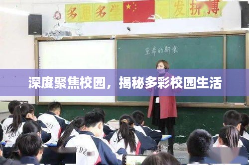 深度聚焦校园，揭秘多彩校园生活