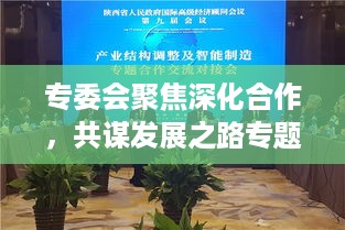 专委会聚焦深化合作，共谋发展之路专题协商