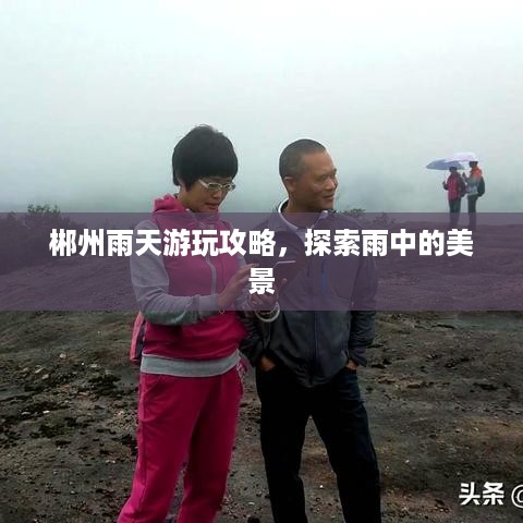 郴州雨天游玩攻略，探索雨中的美景