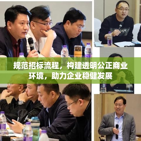 规范招标流程，构建透明公正商业环境，助力企业稳健发展
