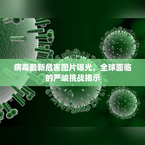 病毒最新危害图片曝光，全球面临的严峻挑战揭示
