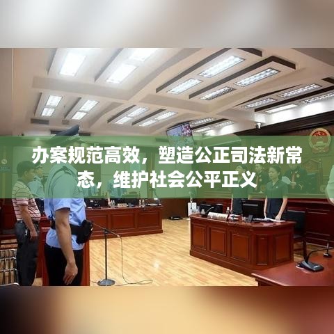 办案规范高效，塑造公正司法新常态，维护社会公平正义