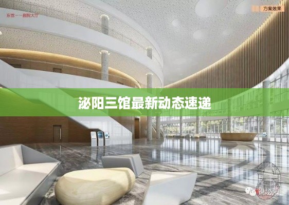 泌阳三馆最新动态速递