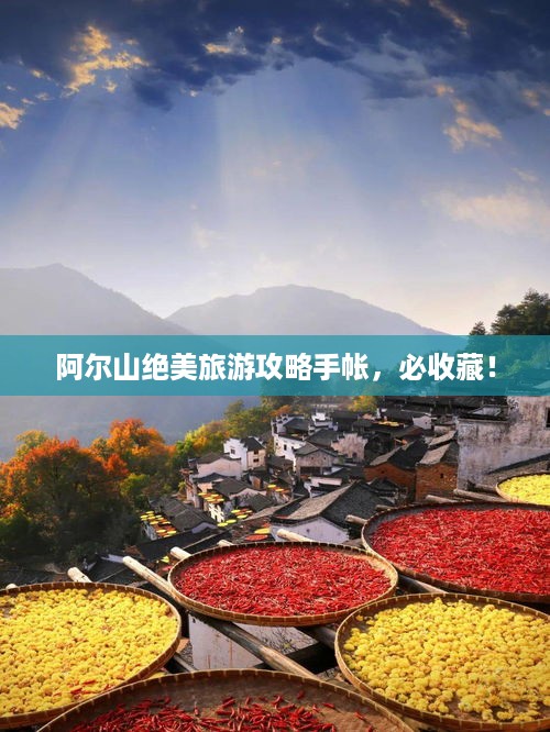 公证管理 第108页