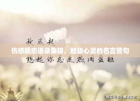 伤感励志语录集锦，触动心灵的名言警句