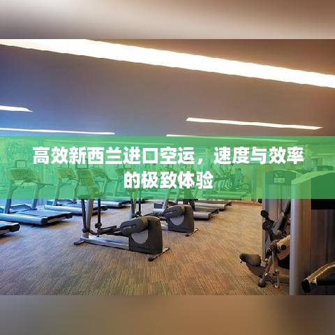 高效新西兰进口空运，速度与效率的极致体验