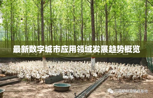 最新数字城市应用领域发展趋势概览