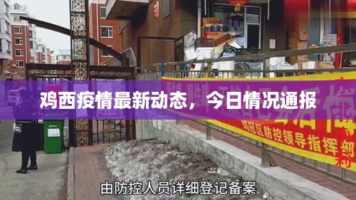鸡西疫情最新动态，今日情况通报
