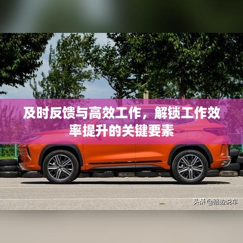 及时反馈与高效工作，解锁工作效率提升的关键要素