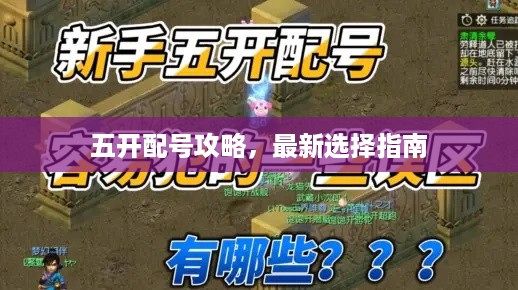 五开配号攻略，最新选择指南