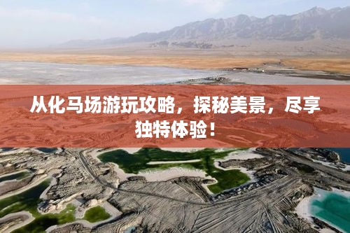 公证管理 第90页