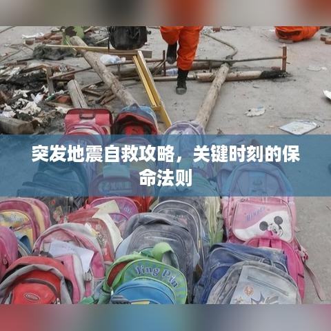 2025年3月 第98页