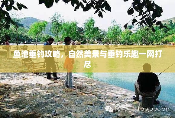 鱼池垂钓攻略，自然美景与垂钓乐趣一网打尽