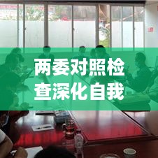 两委对照检查深化自我反思，推动工作提质增效专题会召开