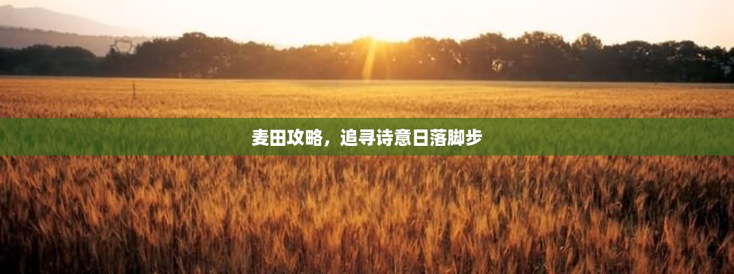麦田攻略，追寻诗意日落脚步