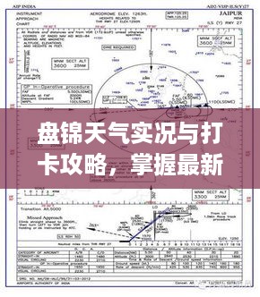 2025年3月 第33页
