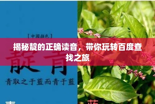 揭秘靛的正确读音，带你玩转百度查找之旅