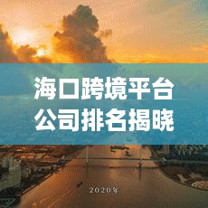 海口跨境平台公司排名揭晓，最新榜单揭秘！
