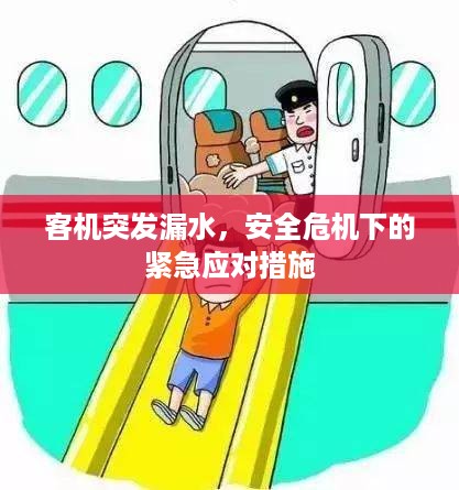 客机突发漏水，安全危机下的紧急应对措施