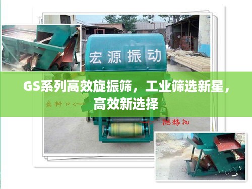 GS系列高效旋振筛，工业筛选新星，高效新选择