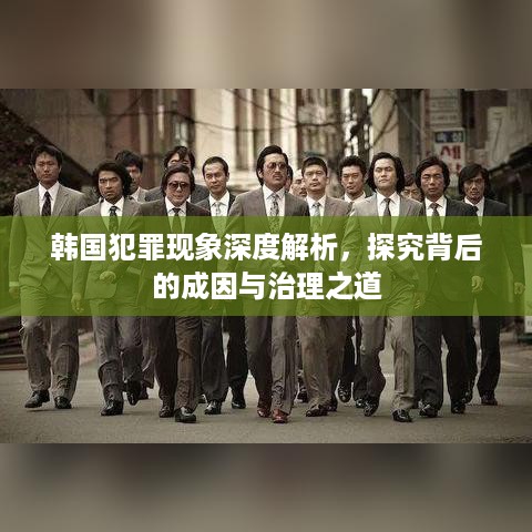 韩国犯罪现象深度解析，探究背后的成因与治理之道