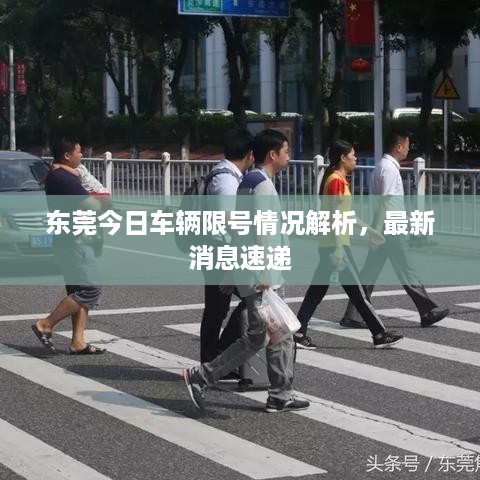 东莞今日车辆限号情况解析，最新消息速递