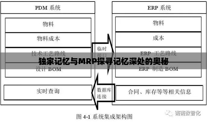 独家记忆与MRP探寻记忆深处的奥秘