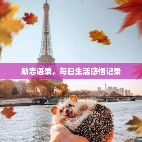 励志语录，每日生活感悟记录