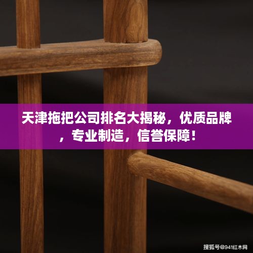 天津拖把公司排名大揭秘，优质品牌，专业制造，信誉保障！