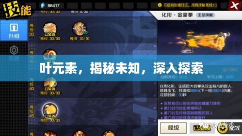 叶元素，揭秘未知，深入探索