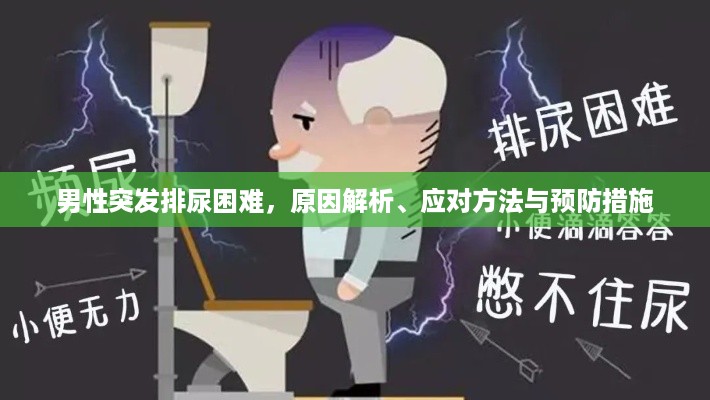 男性突发排尿困难，原因解析、应对方法与预防措施