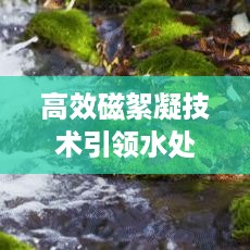 高效磁絮凝技术引领水处理革新之旅