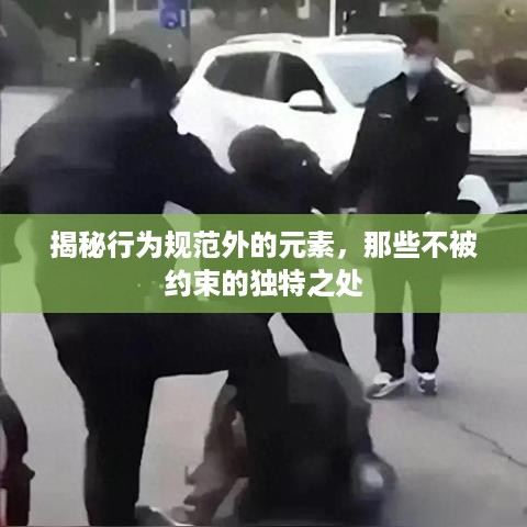 揭秘行为规范外的元素，那些不被约束的独特之处