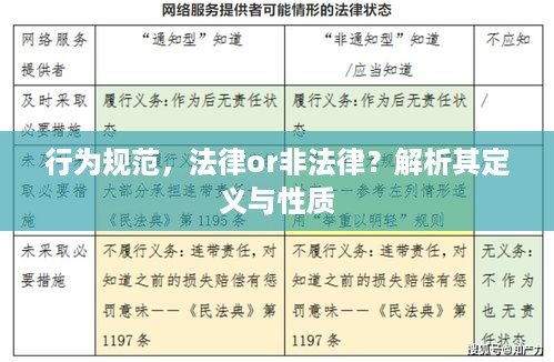 行为规范，法律or非法律？解析其定义与性质