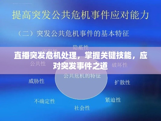 直播突发危机处理，掌握关键技能，应对突发事件之道