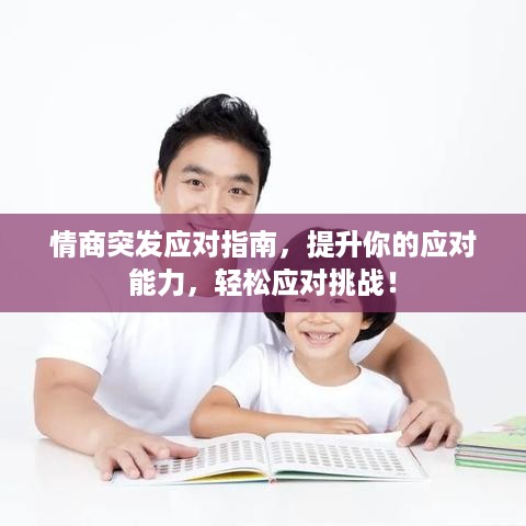 情商突发应对指南，提升你的应对能力，轻松应对挑战！