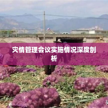 灾情管理会议实施情况深度剖析