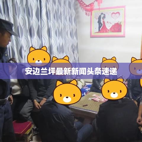 安边兰坪最新新闻头条速递