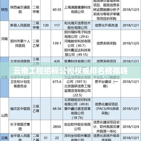 云南工程招标公司权威排名榜揭晓