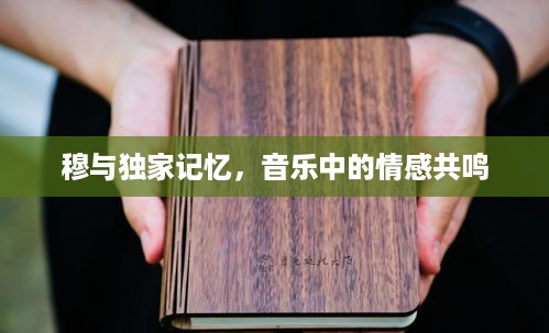 穆与独家记忆，音乐中的情感共鸣