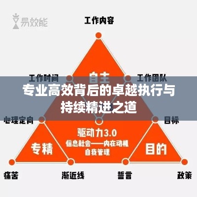 专业高效背后的卓越执行与持续精进之道