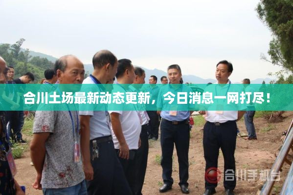 合川土场最新动态更新，今日消息一网打尽！