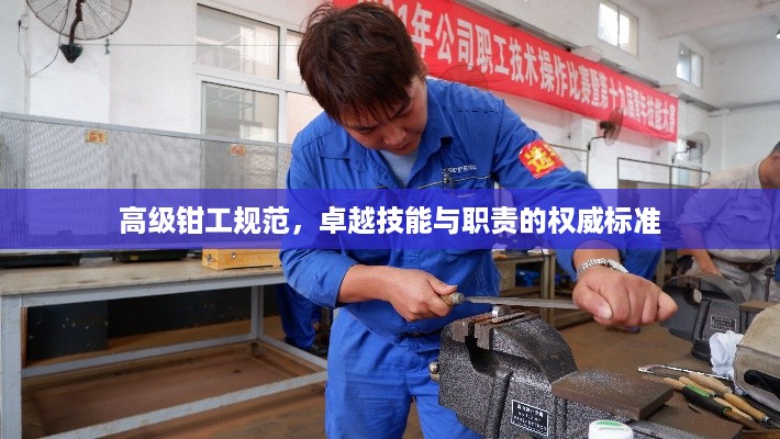 高级钳工规范，卓越技能与职责的权威标准