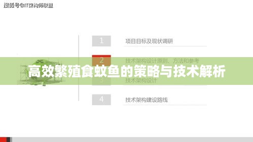 高效繁殖食蚊鱼的策略与技术解析