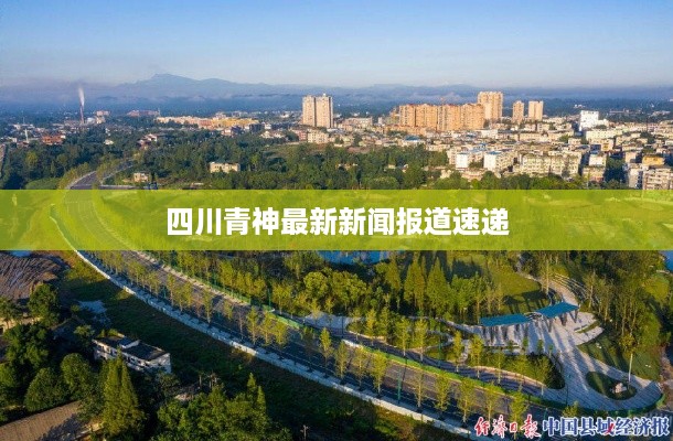 2025年6月 第115页